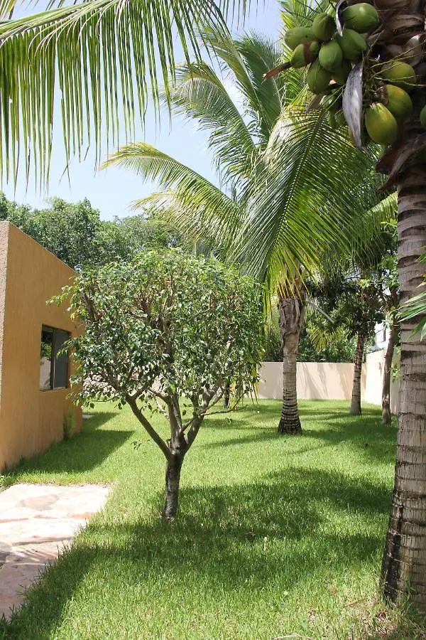 Myoli Wellness & Happiness Bnb Playa del Carmen Frühstückspension